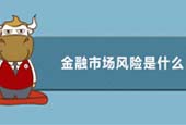 金融市场风险的现状是什么样